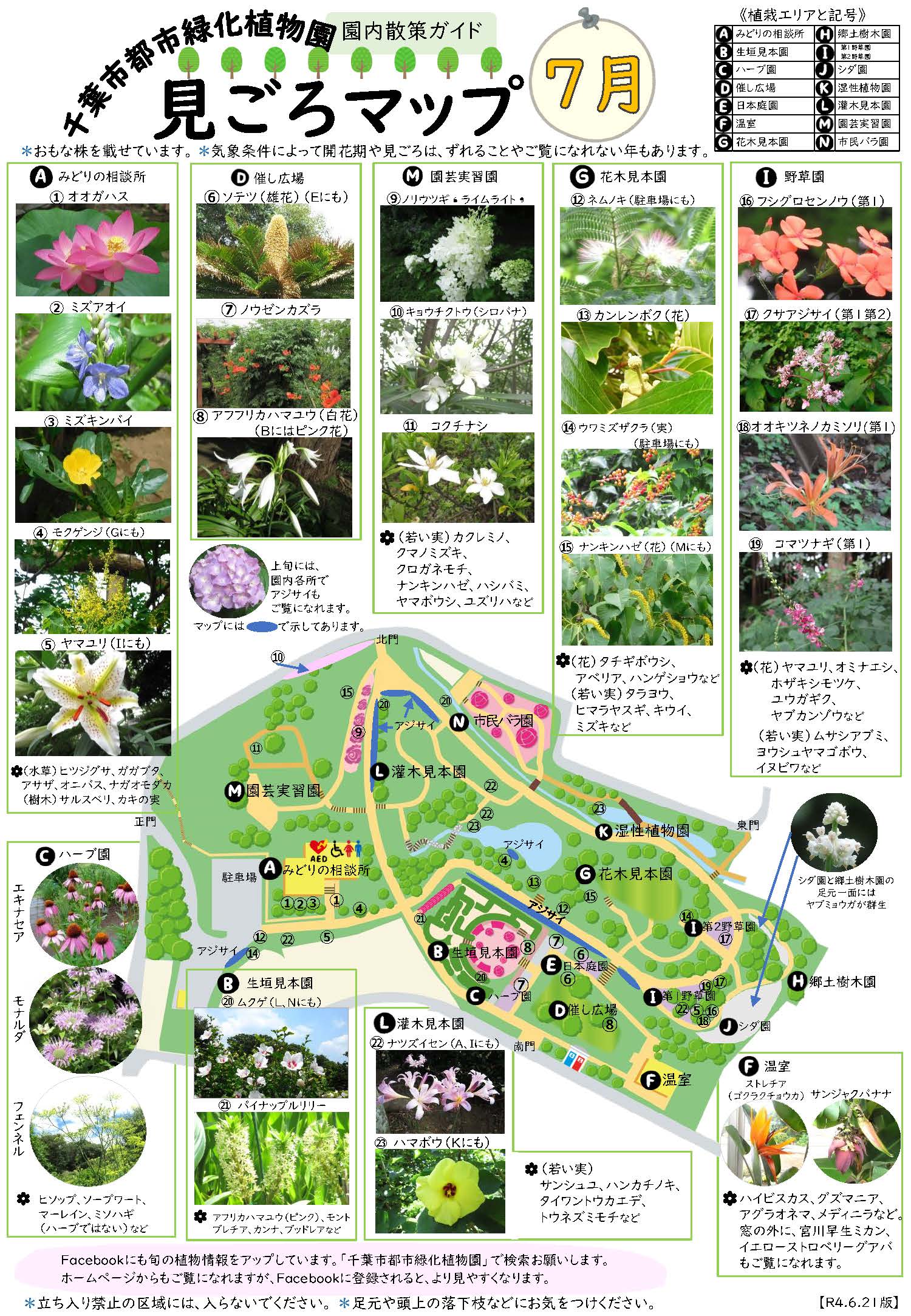 7月：見ごろマップ