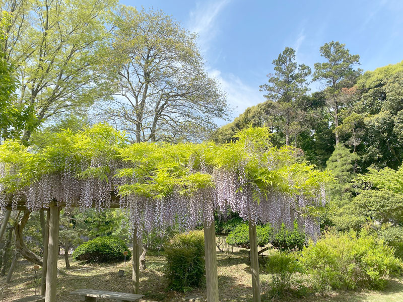 千葉市都市緑化植物園 植物園 園芸実習園