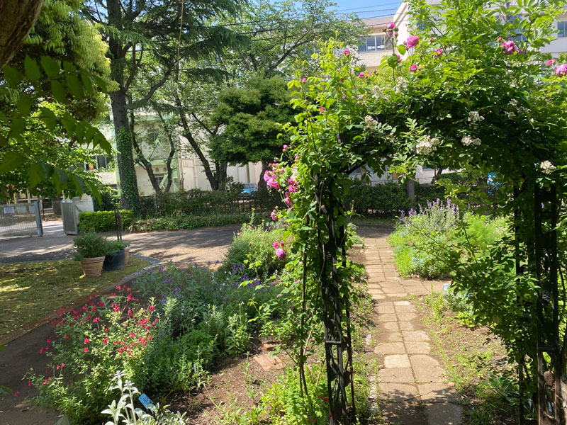 ハーブ園 