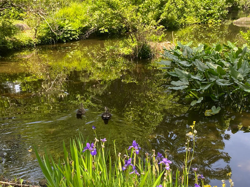 千葉市都市緑化植物園 おしらせ