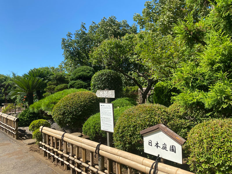 日本庭園 