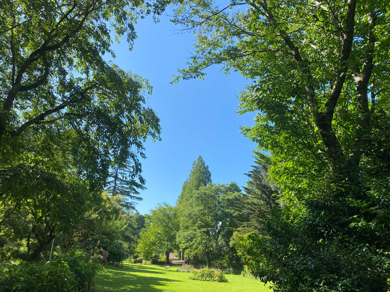 花木見本園 