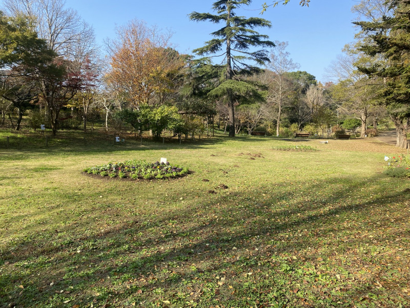 花木見本園 