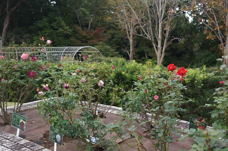 生垣見本園の状況