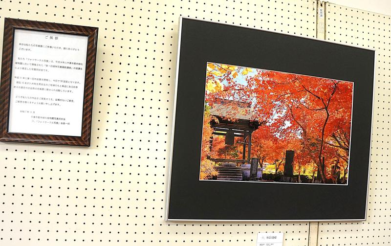 ③R7/11/11 ＊「花の写真展」開催＊