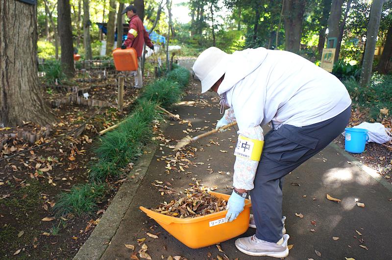 R7/11/20　野草園の整美作業と観察