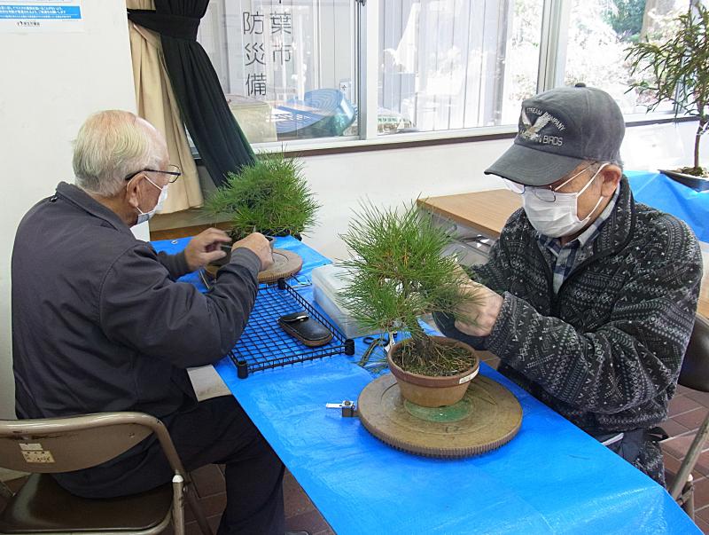 ③R7/12/7　盆栽同好会「講習会」の開催