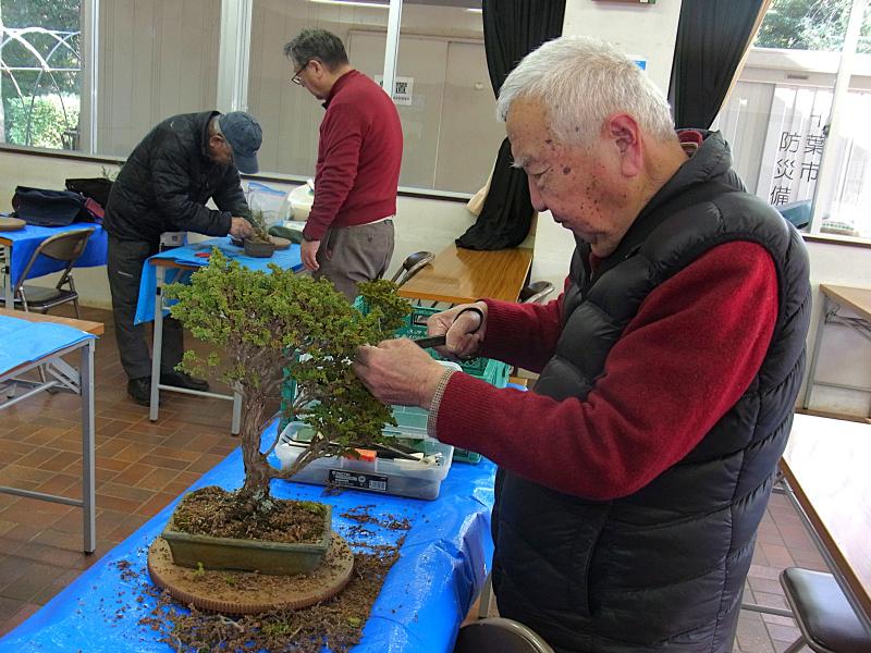 ②R8/1/18 　盆栽同好会「講習会」の開催