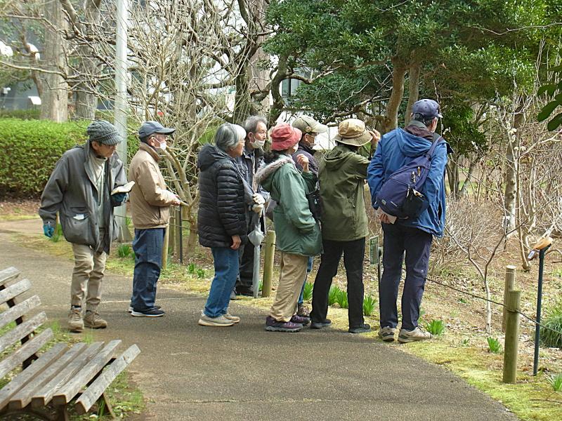 ③R8/3/6 春の園内観察会