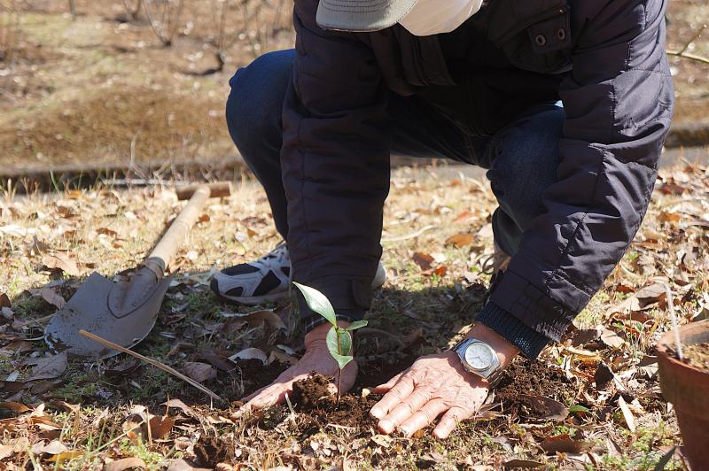 ③R8/2/21 「園内ガイドツアー」300回記念＊記念植樹＊