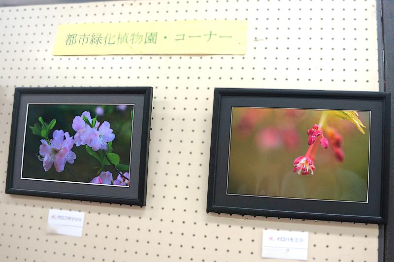 ①花の写真展の風景