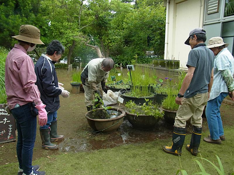 ①ボランティア活動風景