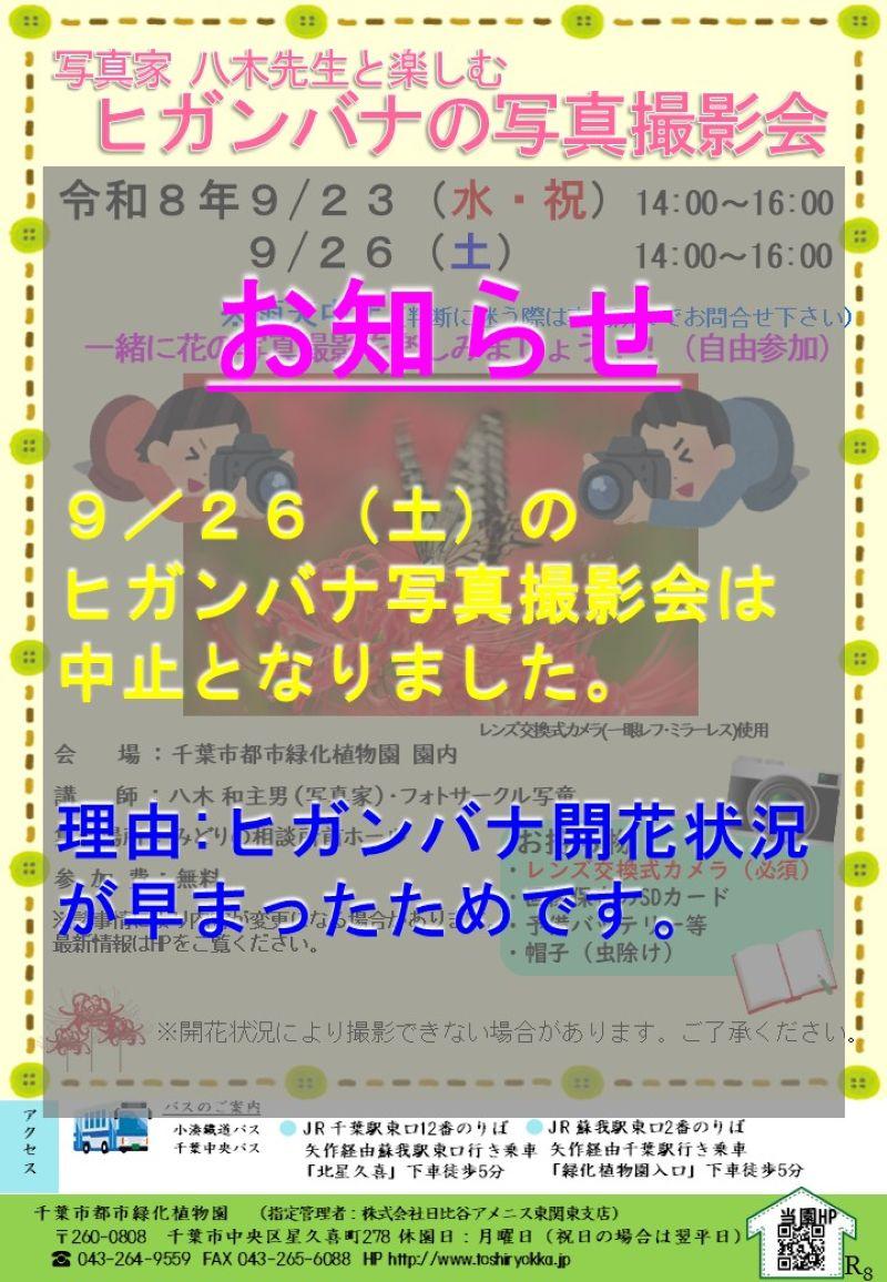 八木先生と楽しむヒガンバナの撮影会